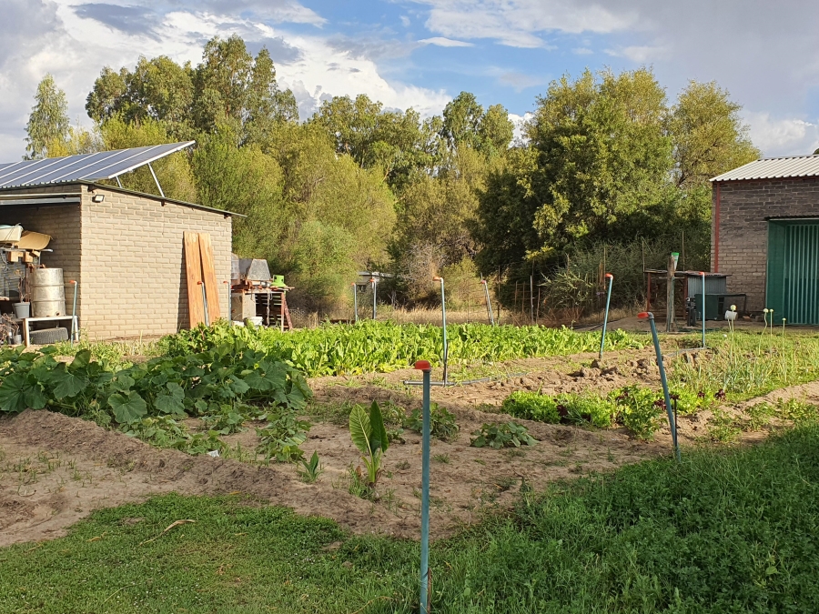 5 Bedroom Property for Sale in Douglas Northern Cape